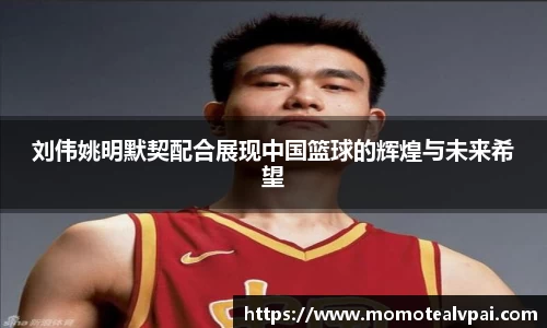 刘伟姚明默契配合展现中国篮球的辉煌与未来希望