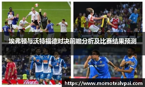 埃弗顿与沃特福德对决前瞻分析及比赛结果预测